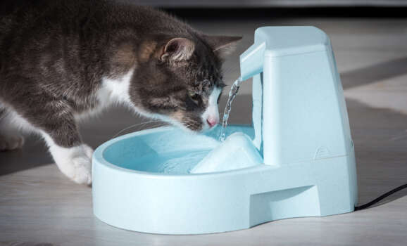 water-filter-systems-for-the-home-GA-cat