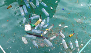 Water bottle garbage in the water