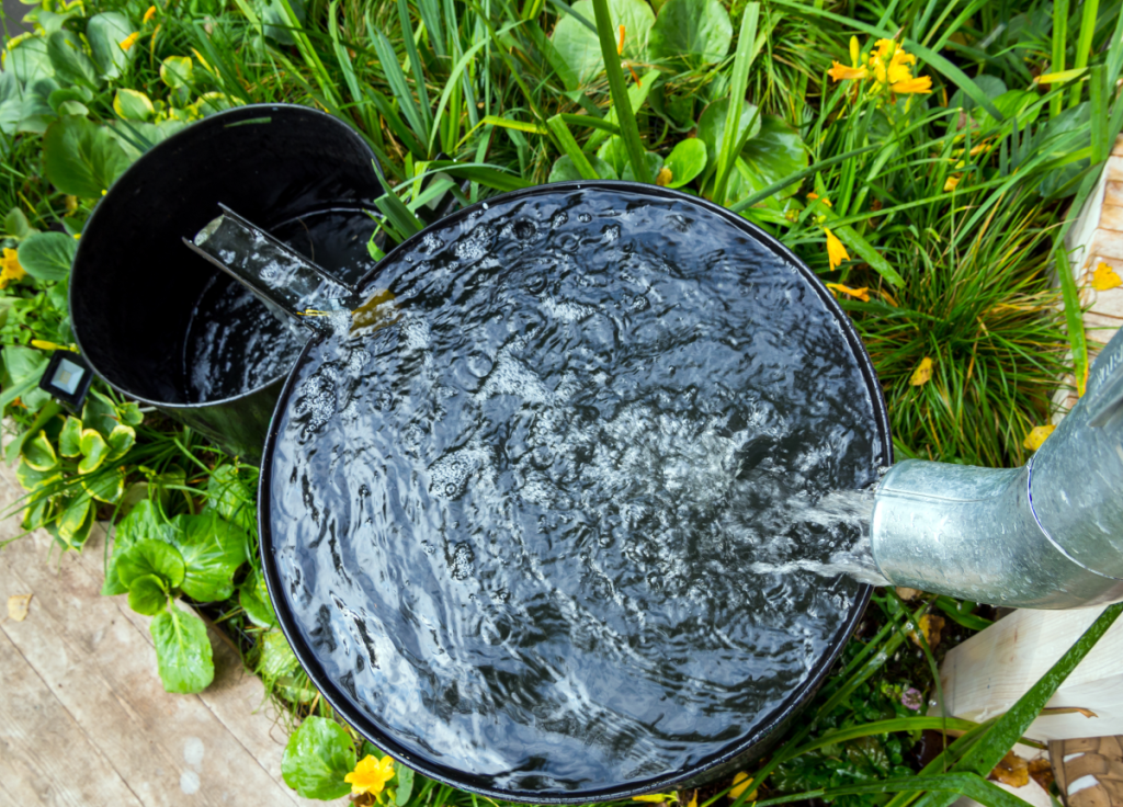 Can You Drink Rainwater?