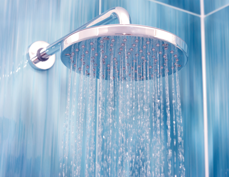 metro-water-filter-ellijay-shower
