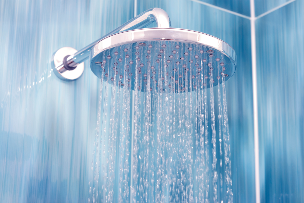 metro-water-filter-ellijay-shower