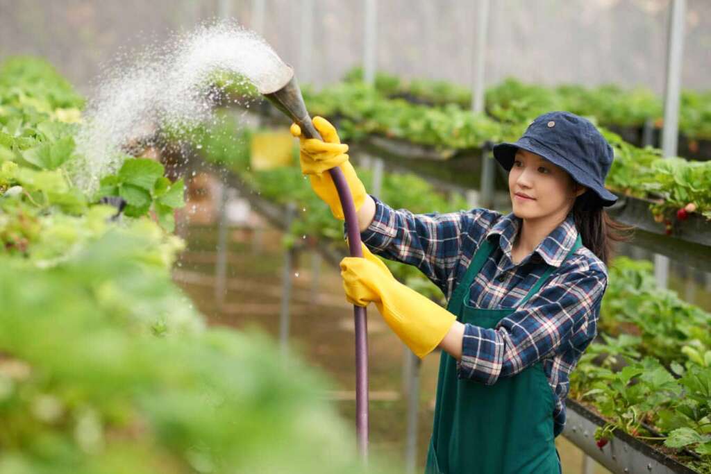 A woman watering her garden plants using a garden hose with filtered water