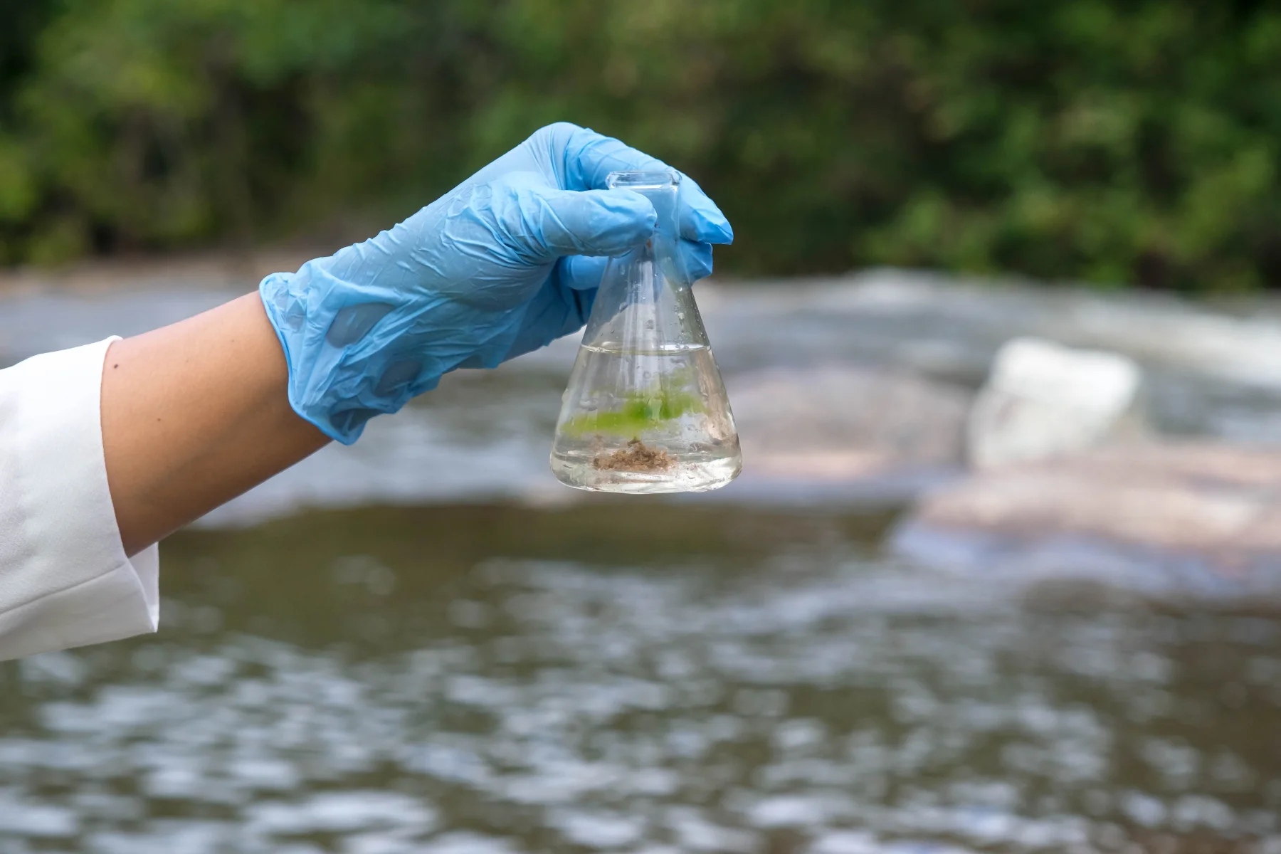 Professional holding a water sample for PFAS contamination testing