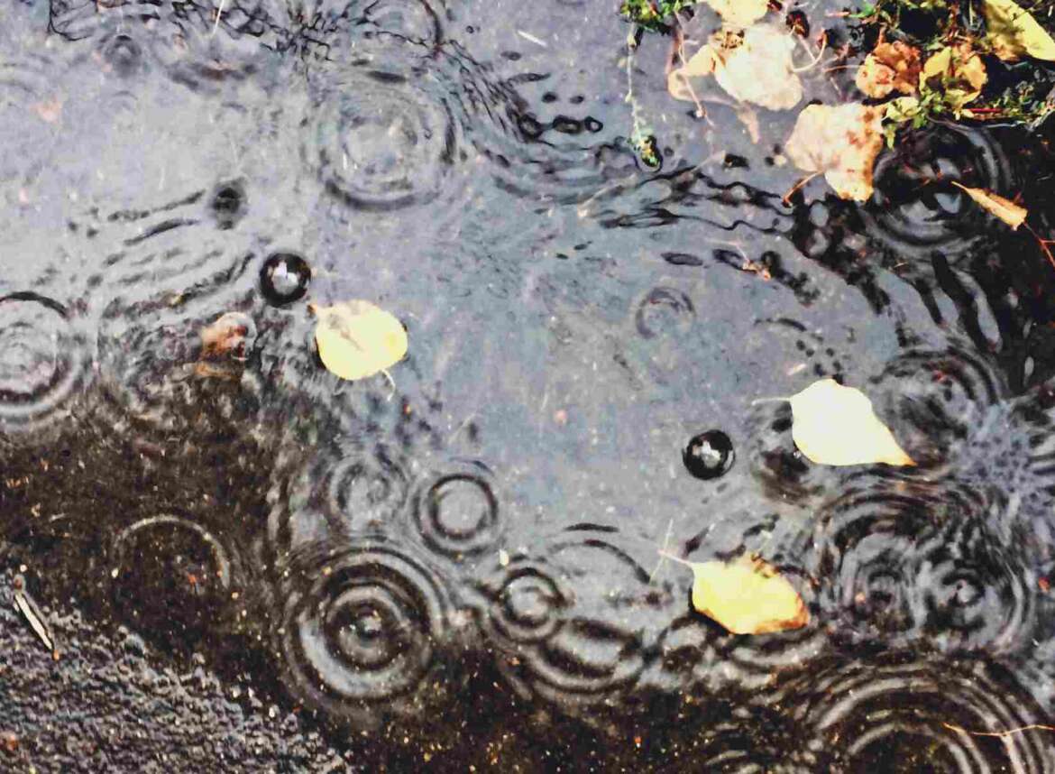 Rainwater on the street as potential stormwater runoff
