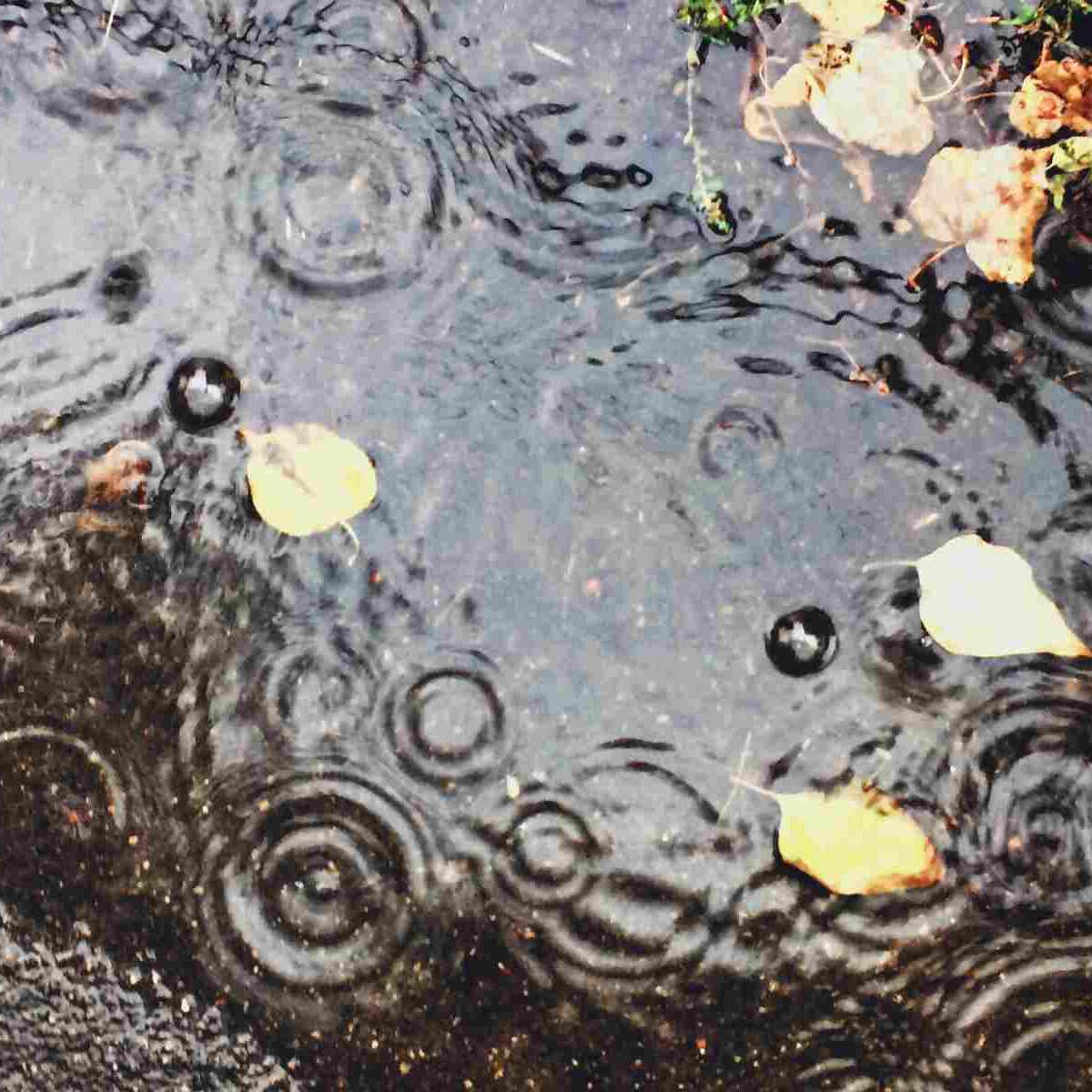 What Makes Water Dirty?