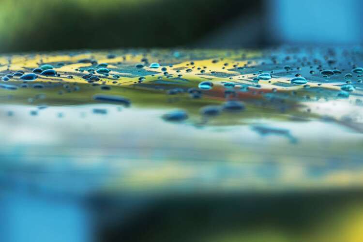 pfas in water EPA PFAs rollback