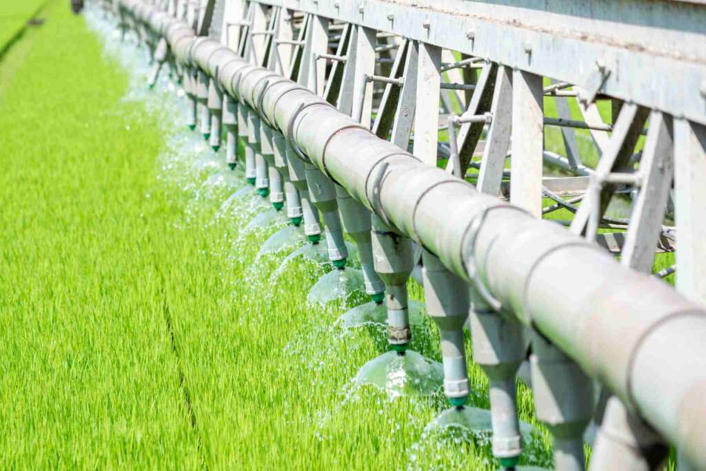 Improve herd health and milk quality with UV water treatment for dairy farms, delivering reliable, chemical-free water filtration.