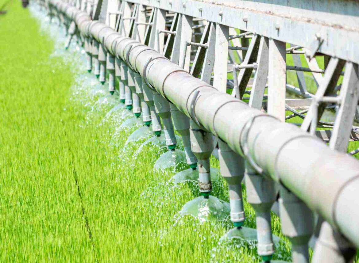 UV water treatment for dairy farms' water supply