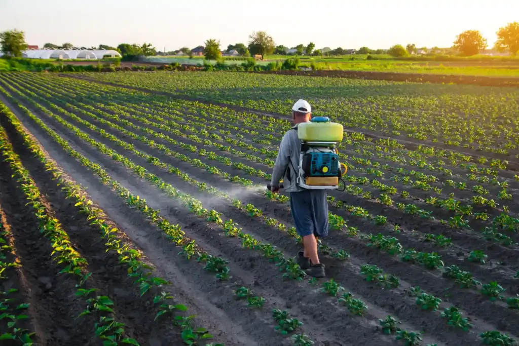 Explore the EPA’s approval of PFAS pesticide use, what it means for Georgia families, and concerns about PFAS contamination in drinking water.
